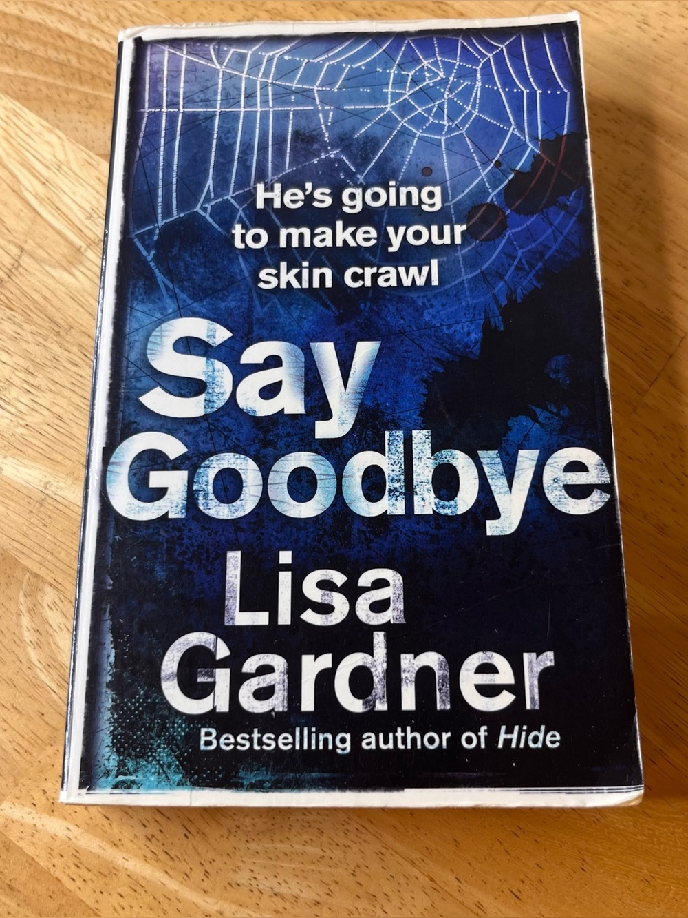 Say Goodbye Lisa Gardner thriller book